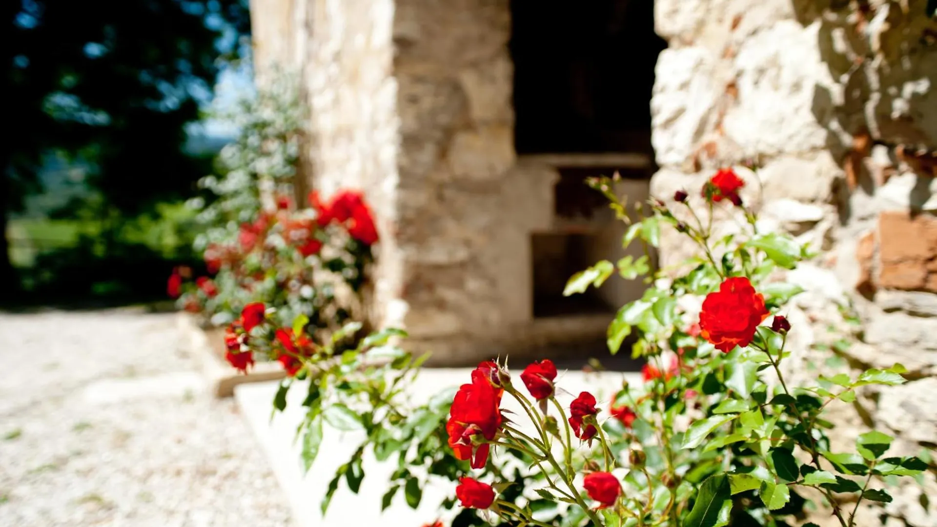 Agriturismo Marchesi Gondi Pontassieve Holiday home